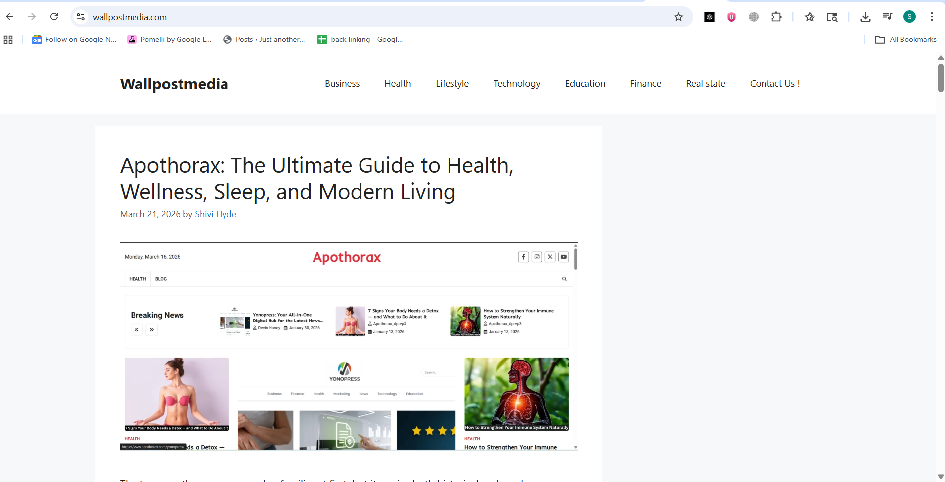Layout Management in Window Applications